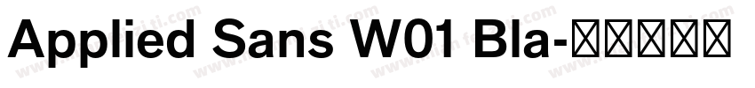 Applied Sans W01 Bla字体转换